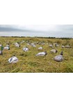 Комплект ветровых чучел утки "ЛАЙТ" Flock Decoys, 12 шт (без голов)